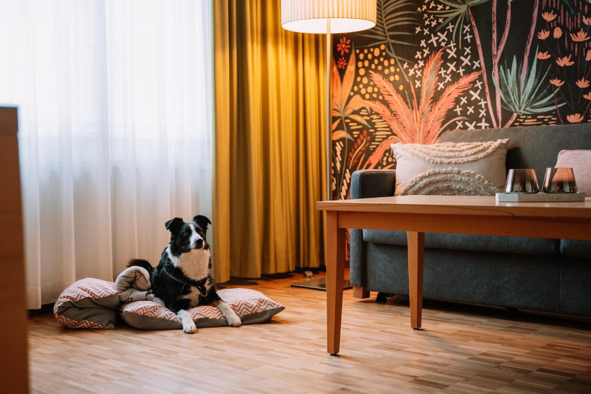 Hotel Auszeit St Lambrecht Sankt Lambrecht Bagian luar foto